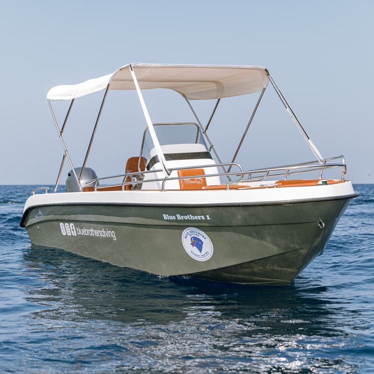 Green motorboat with a white canopy floats on blue water under a clear sky.