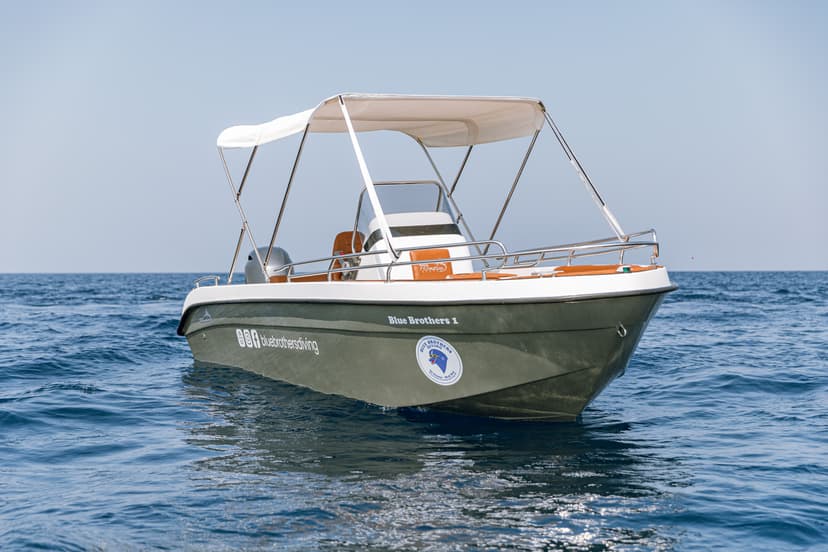 Private Speedboat Snorkeling Trip – 5 Hours for up to 4 Guests