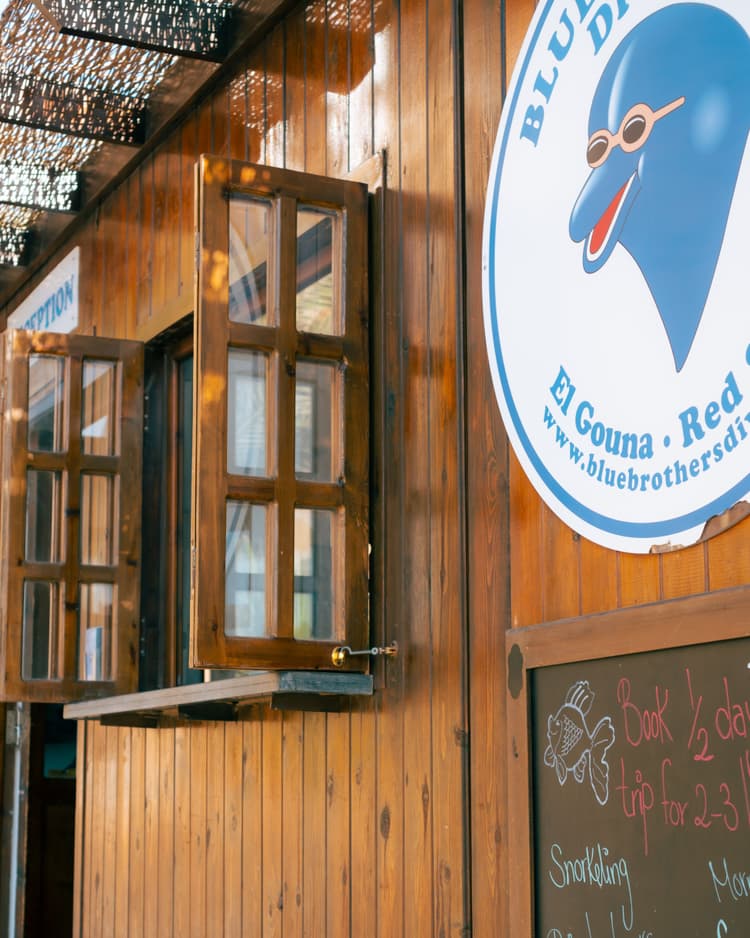 Wooden building with open windows and a round "Blue Dolphin Divers" logo on the right.
