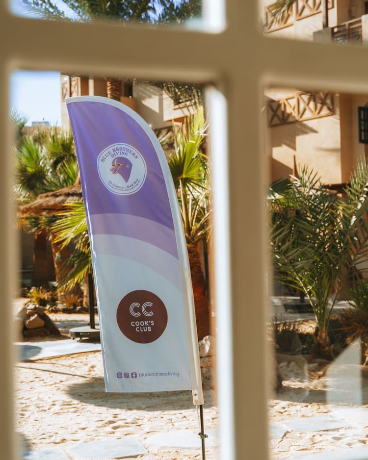 White and purple feather flag with 'CC' logo and brain icon in an outdoor setting.