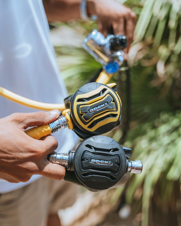 Close-up of hands holding two black and yellow diving regulators with hoses.