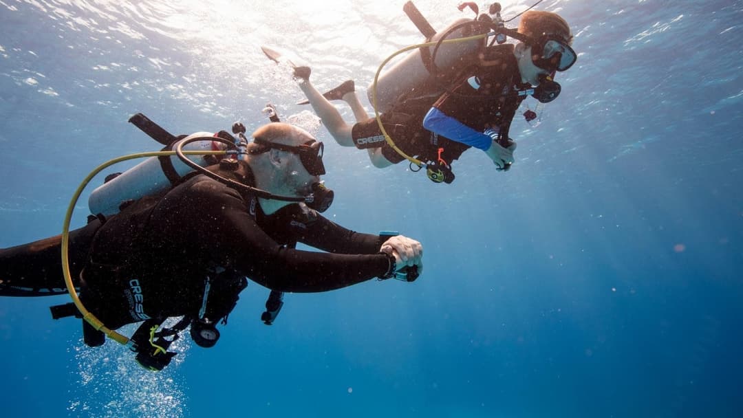 Two scuba divers swim underwater, silhouetted against the bright surface of the ocean.