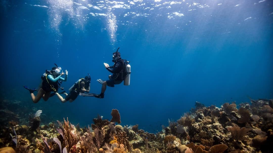 Three divers float in clear blue ocean water above a rich, colorful coral reef.