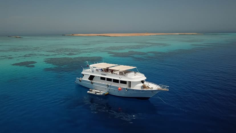 Red Sea Snorkeling Day Trip in El Gouna