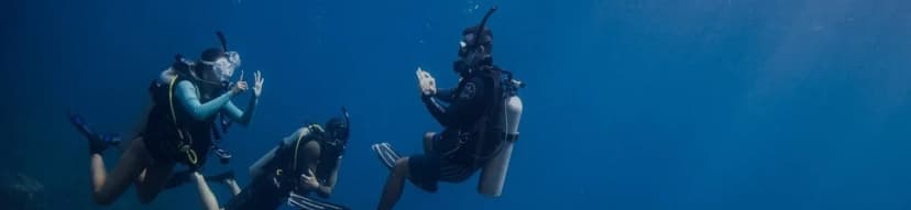 PADI Discover Scuba Diving – Safe, Fun, and Unforgettable