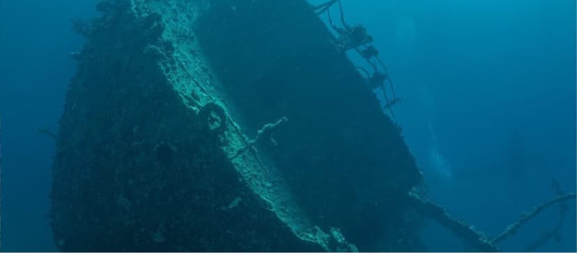 Wreck Diver – Explore Sunken Treasures with the PADI Specialty Course