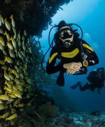 discover scuba