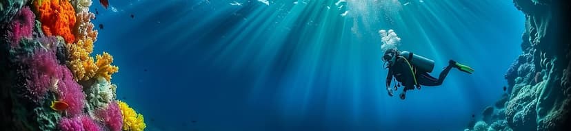 Private Snorkeling Excursion – Blue Sister (up to 7 guests, 5 hours)